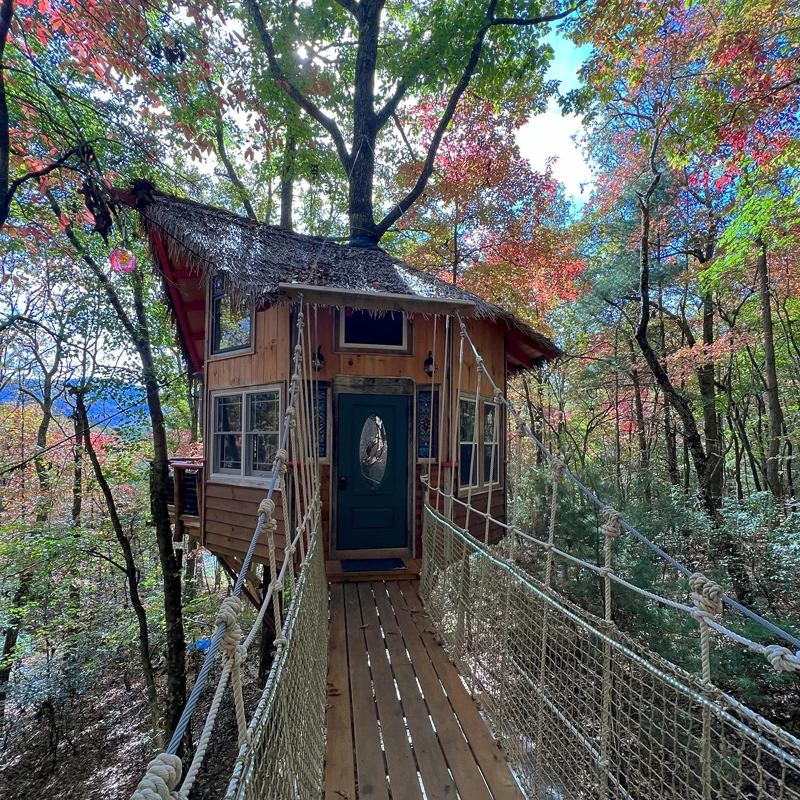 Treehouse Mountain | Blue Ridge, GA