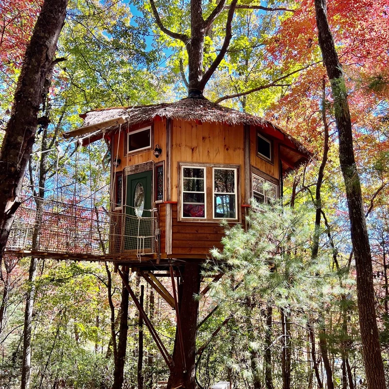 Treehouse Mountain | Blue Ridge, GA