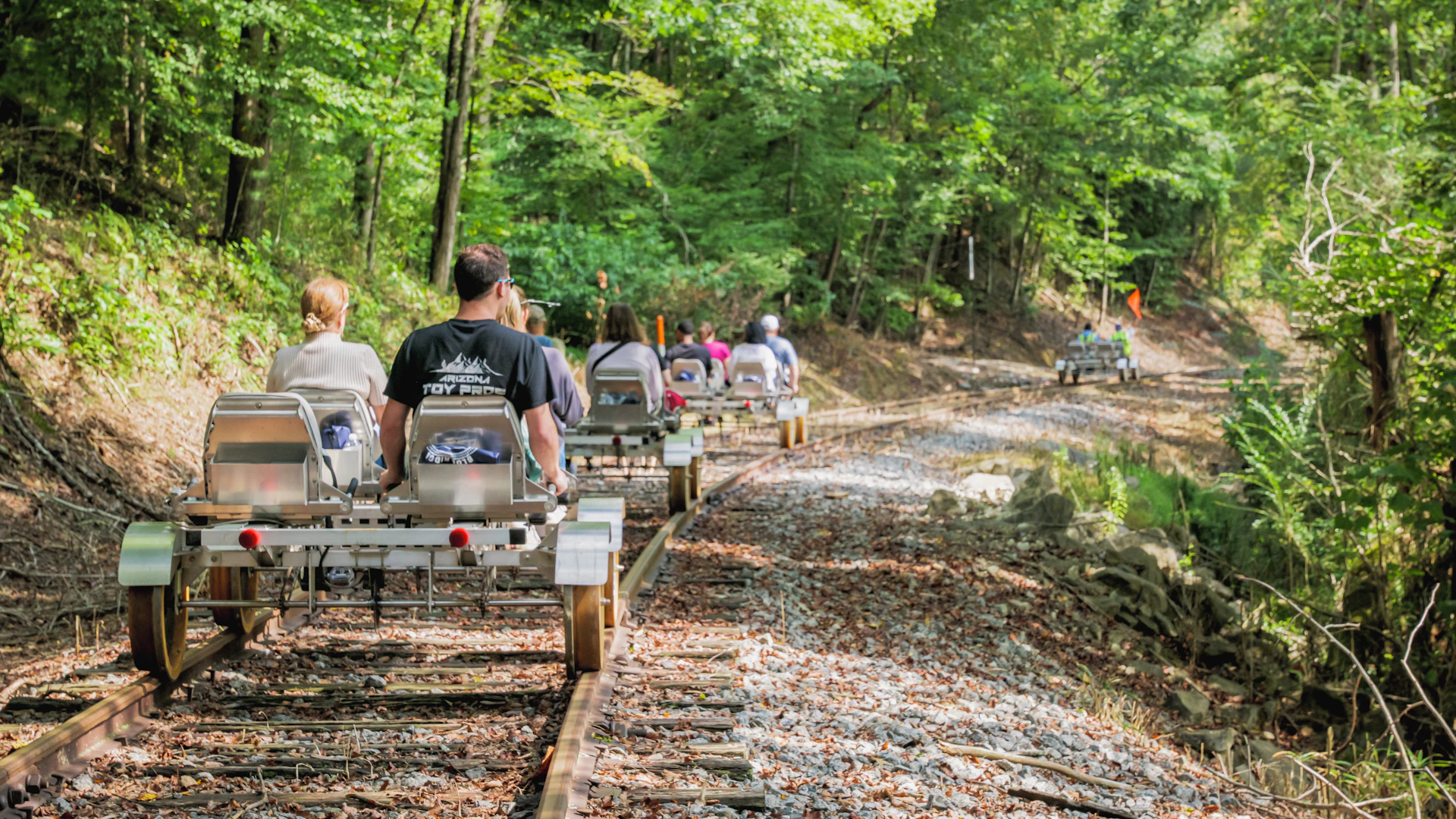 Fall Colors With a Twist | Blue Ridge, GA
