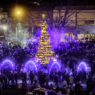 Visit Blue Ridge, GA | Official Travel Guide | Blue Ridge, GA