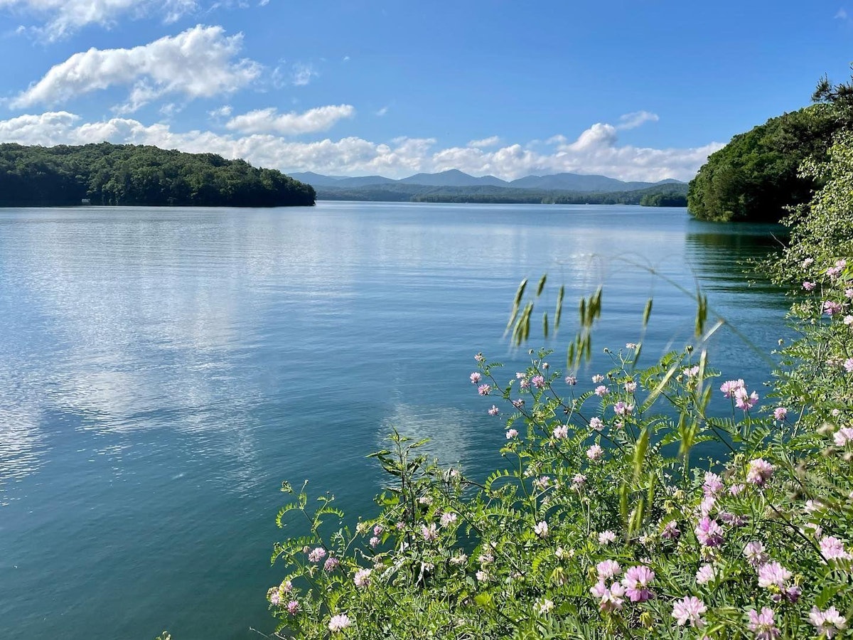 Spring Drives & Hikes in Blue Ridge | Blue Ridge, GA