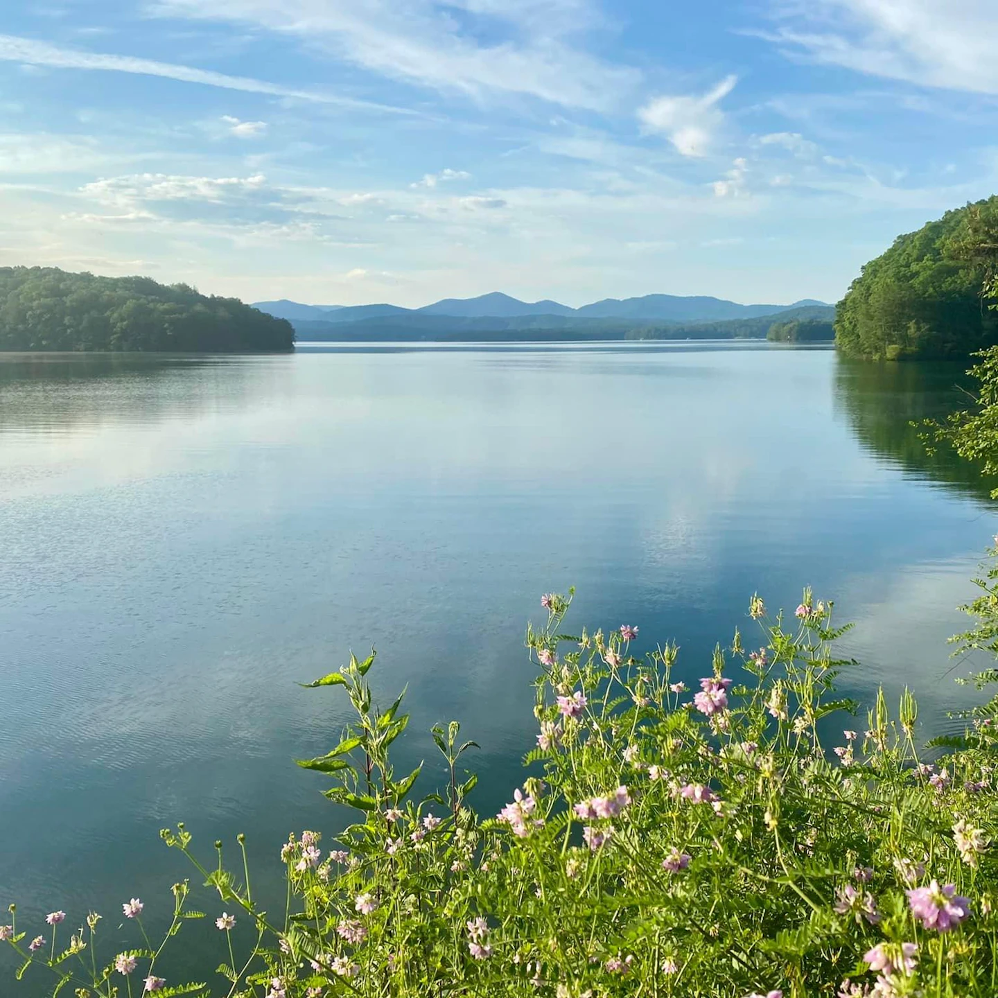 Fannin County Recreation Park | Blue Ridge, GA