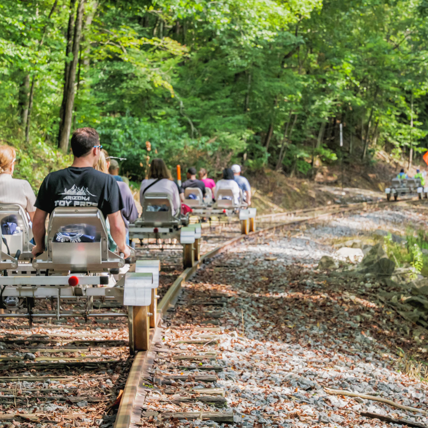 Spring Ridge Farm Train Blue Ridge Scenic Rail Bikes | Blue Ridge, GA
