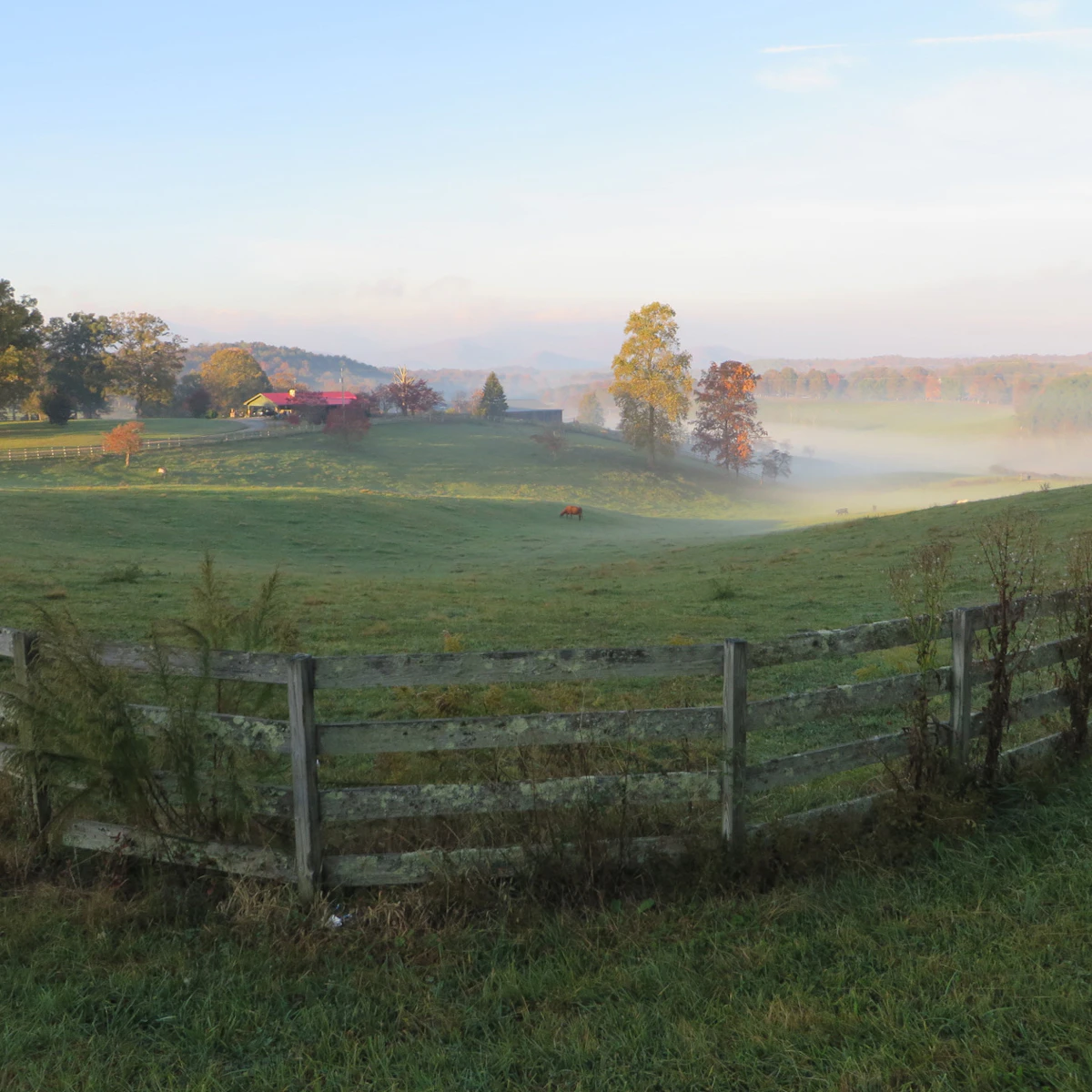 Plan your visit to Georgia's Blue Ridge Mountains - Fannin County ...