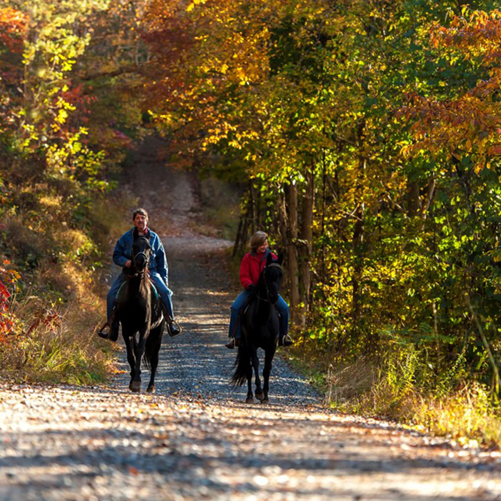 Hiking in Georgia's mountains - Fannin County Chamber of Commerce ...