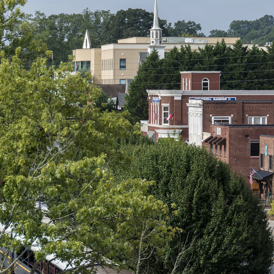 Our Community - Fannin County Chamber of Commerce - Blue Ridge, Georgia
