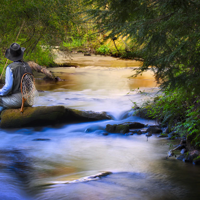 Biking in Blue Ridge - Fannin County Chamber of Commerce - Blue Ridge ...