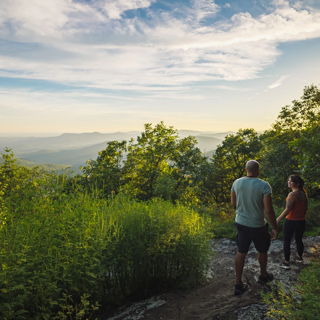 Springer Mountain - Fannin County - Blue Ridge, Georgia