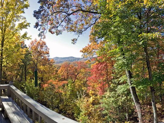 Welcome to Georgia's Blue Ridge Experience - Fannin County Chamber of ...