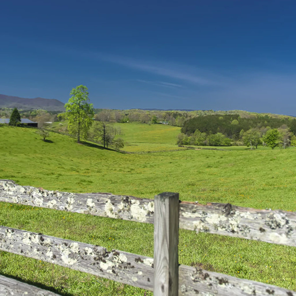 Blue Ridge, GA Fall Foliage | Blue Ridge, GA
