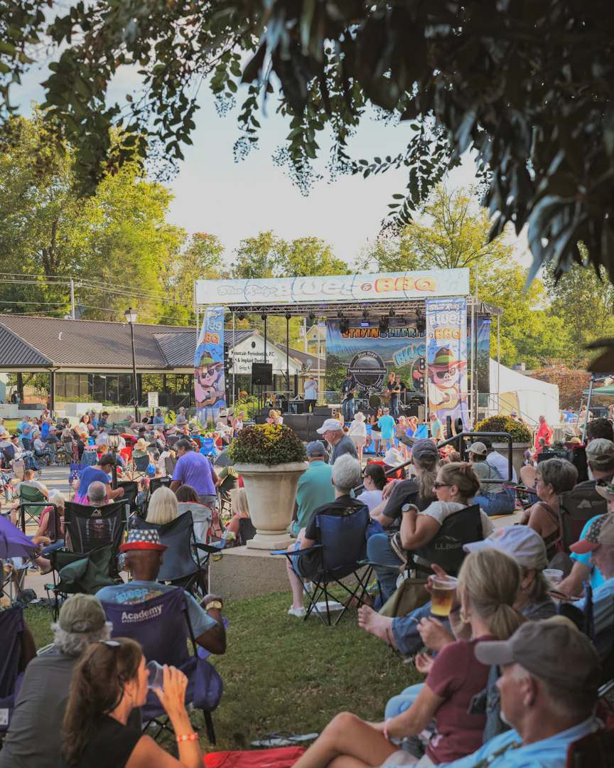 Blue Ridge Blues & BBQ Festival 2025 | Live Music, Barbecue, & More | Blue Ridge, GA