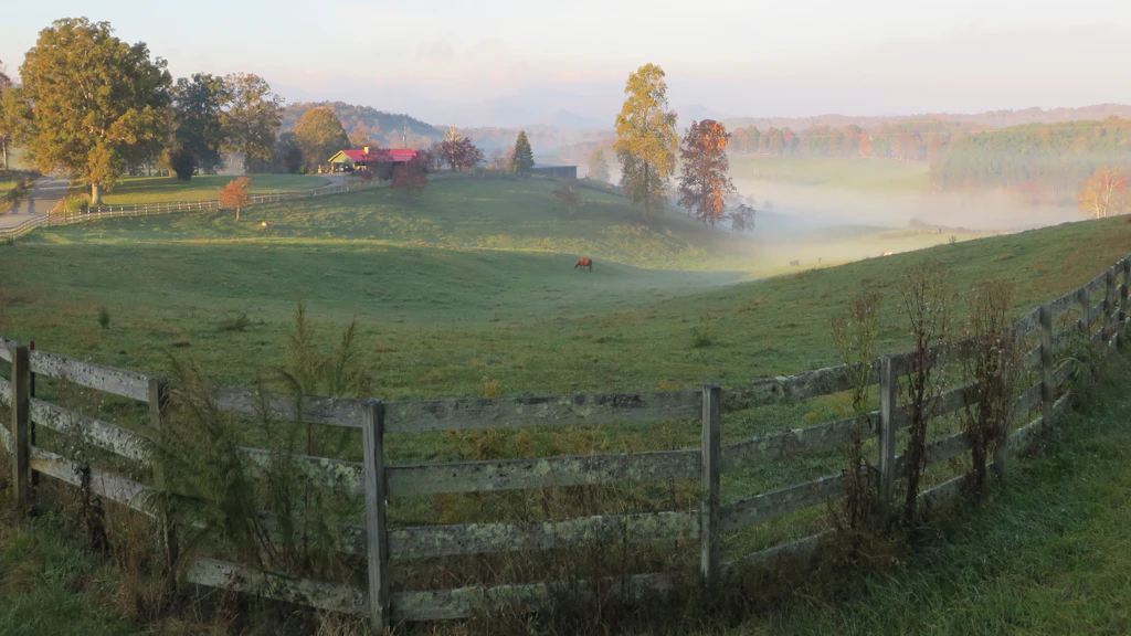 The 3 Best Blue Ridge Scenic Drives | Blue Ridge, GA